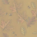 nouv0 (9)
